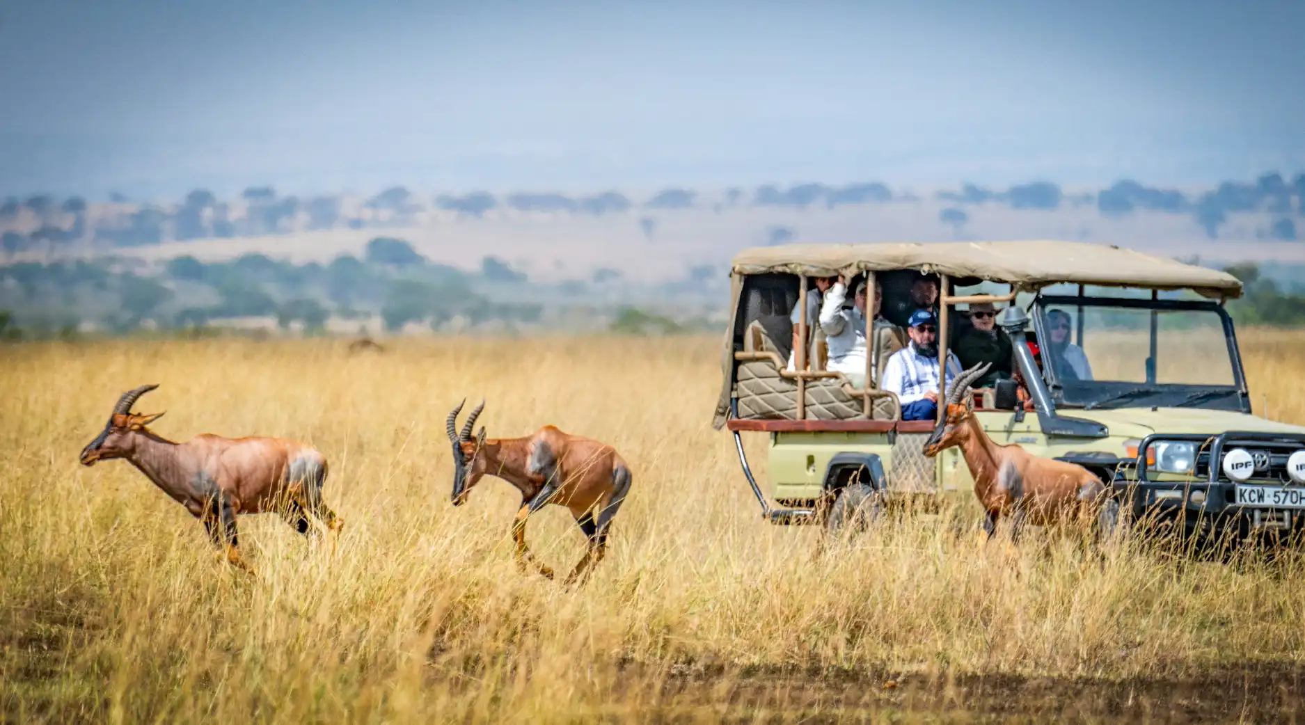 Masai Mara Safari: A Complete Travel Guide for UAE Travelers