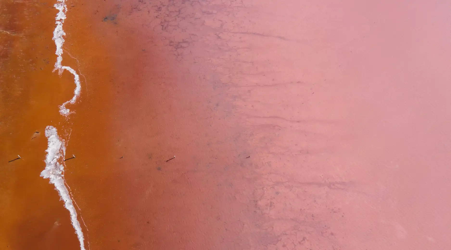 Explore the Mystical Beauty of the Pink Lake from the UAE