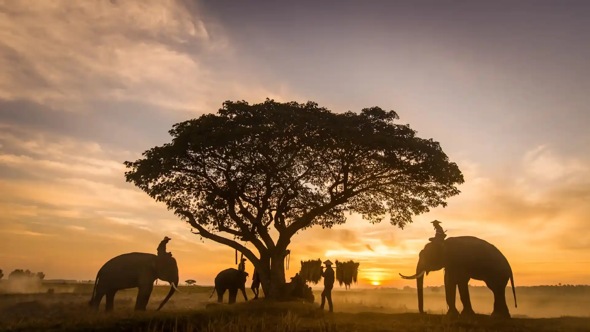 Kenya e-Visa from Dubai, UAE