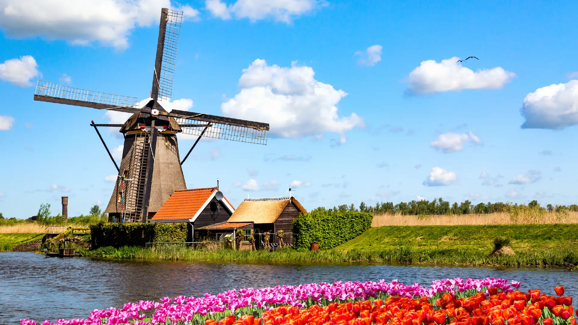 Netherland