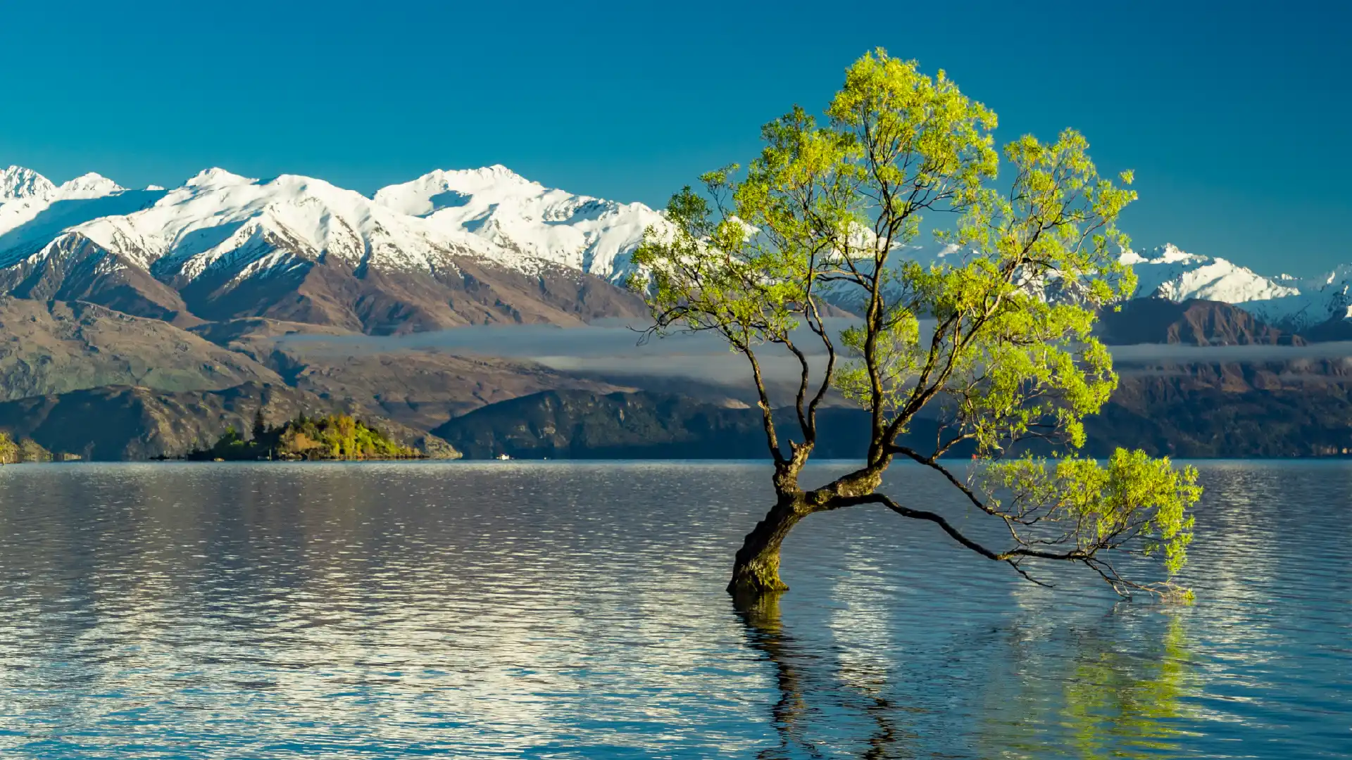 New Zealand Visa from Dubai, UAE