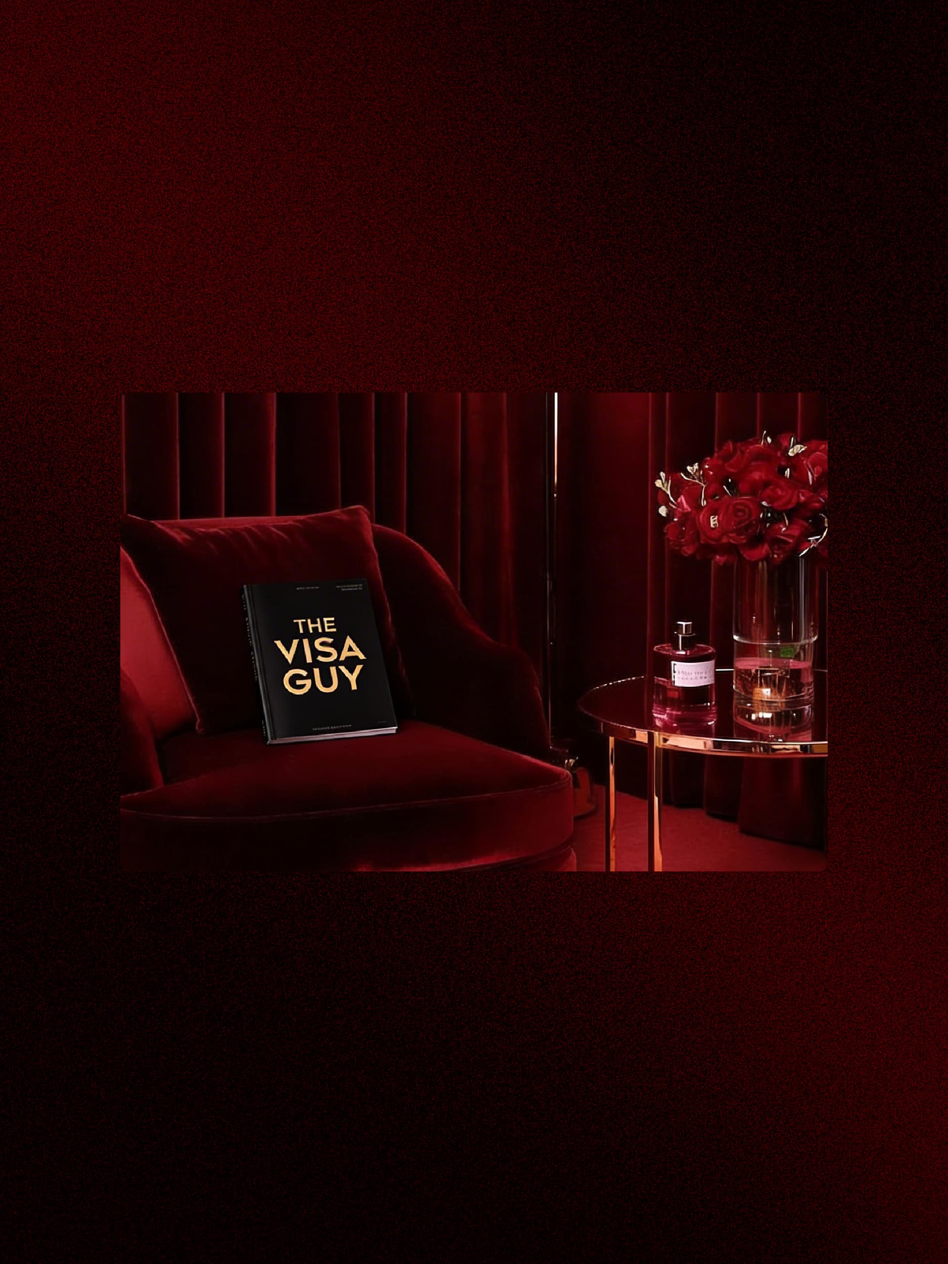 Premium Visa service 3