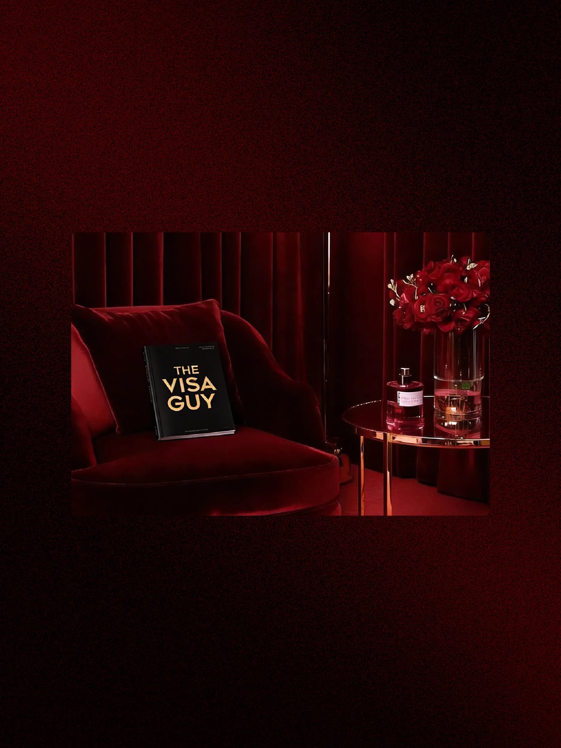 Premium Visa service 3