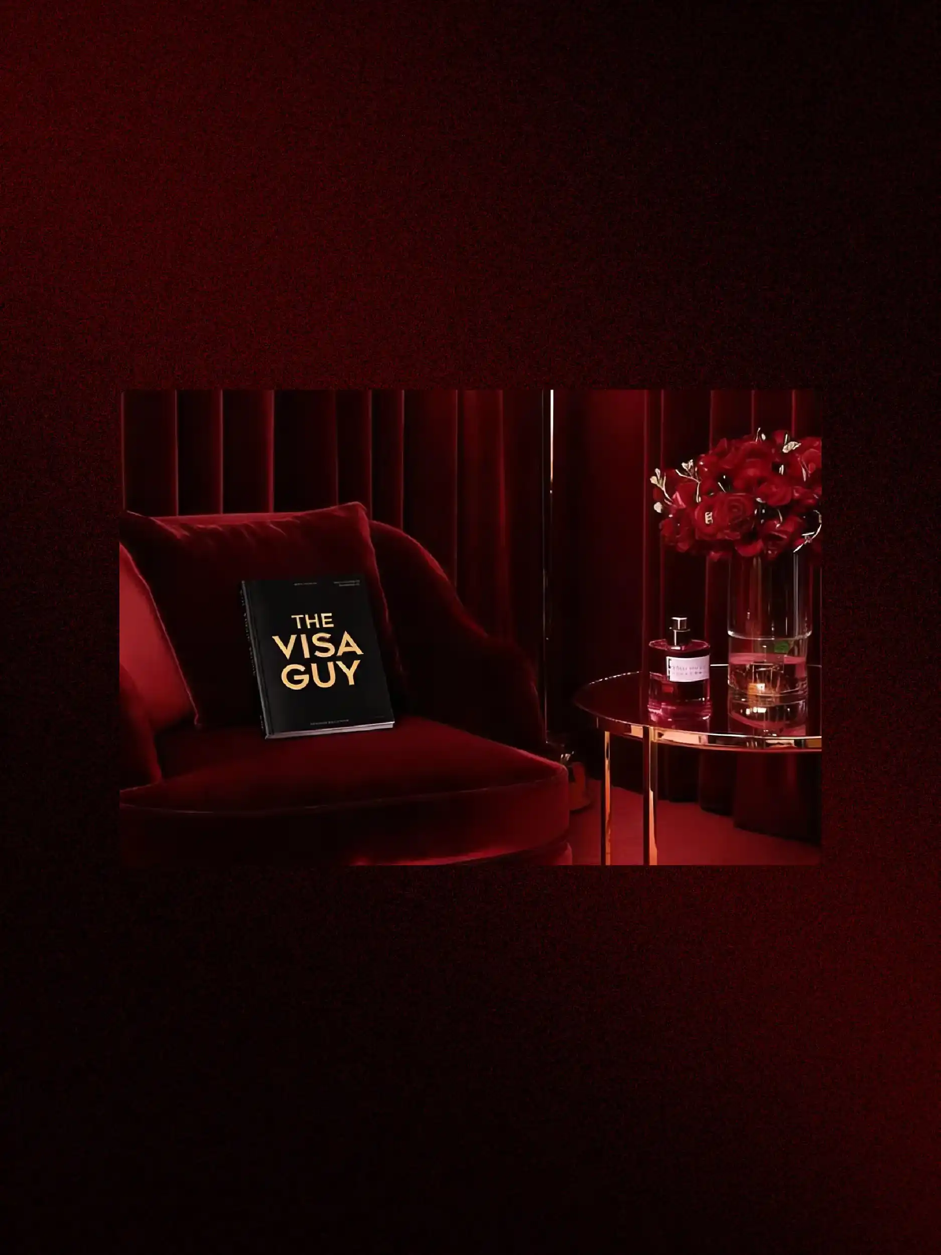 Premium Visa service 3