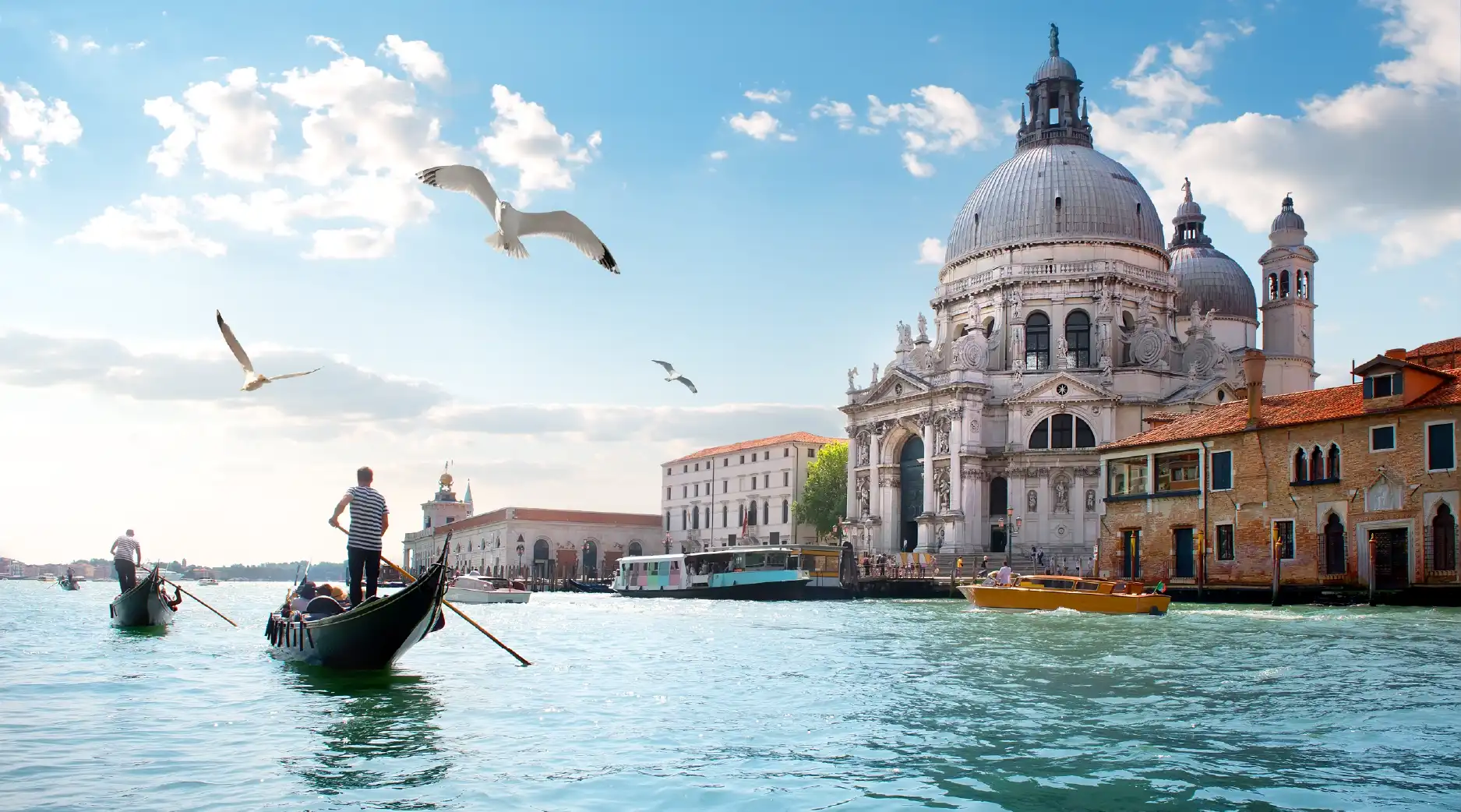 5 Year Multiple Entry Schengen Visa: How to Get It from the UAE