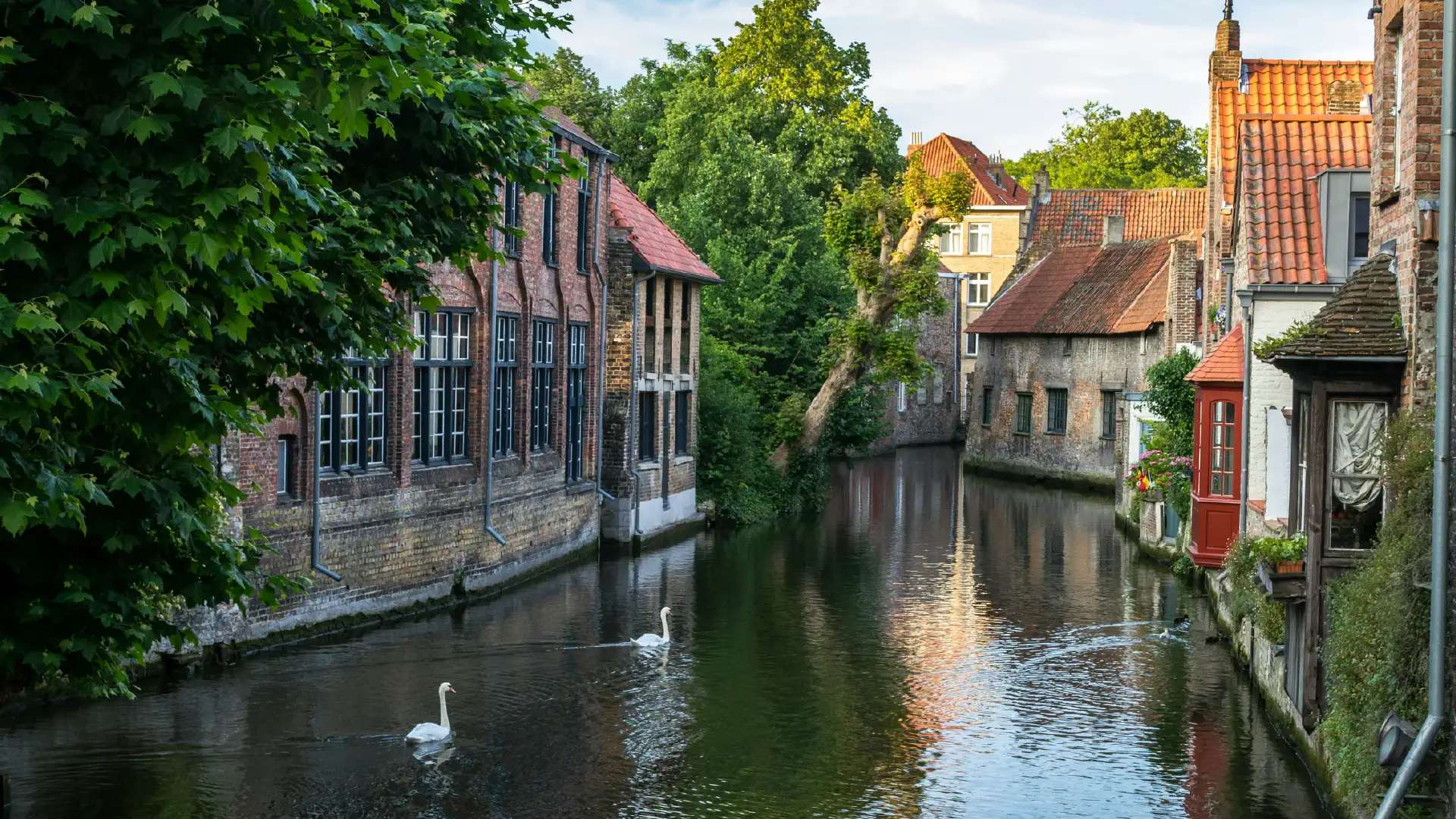 Belgium visa from Dubai, UAE