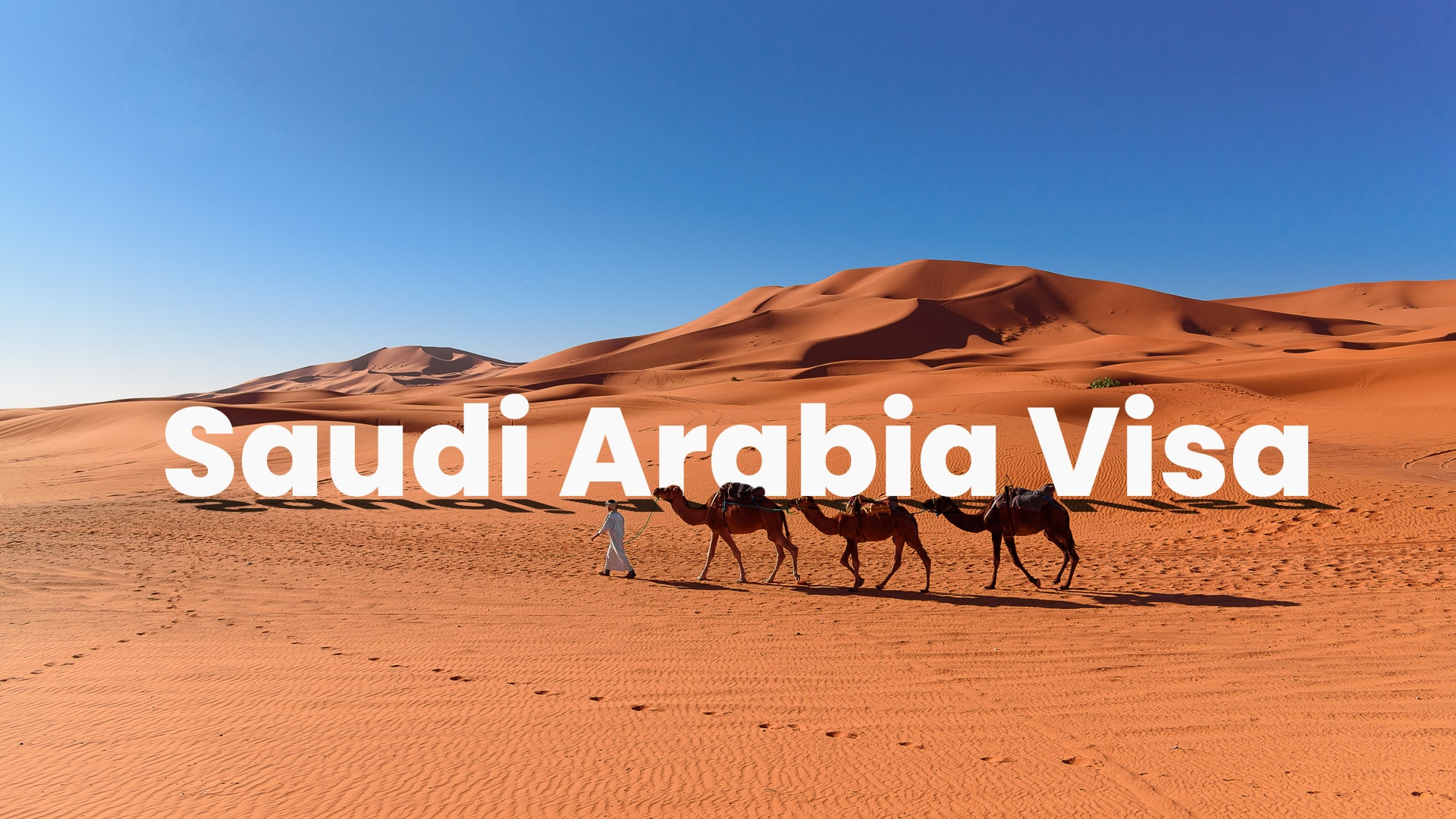 Saudi visa from Dubai UAE