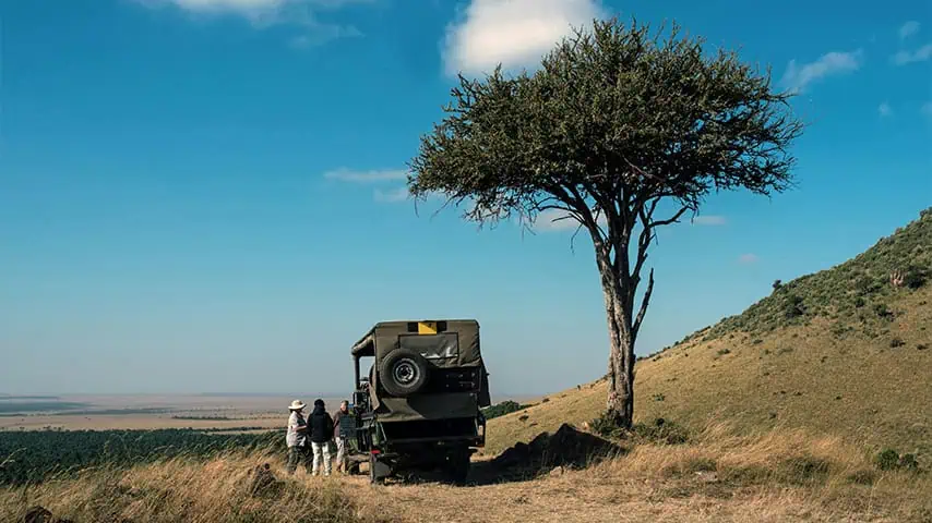 Masai mara Safari