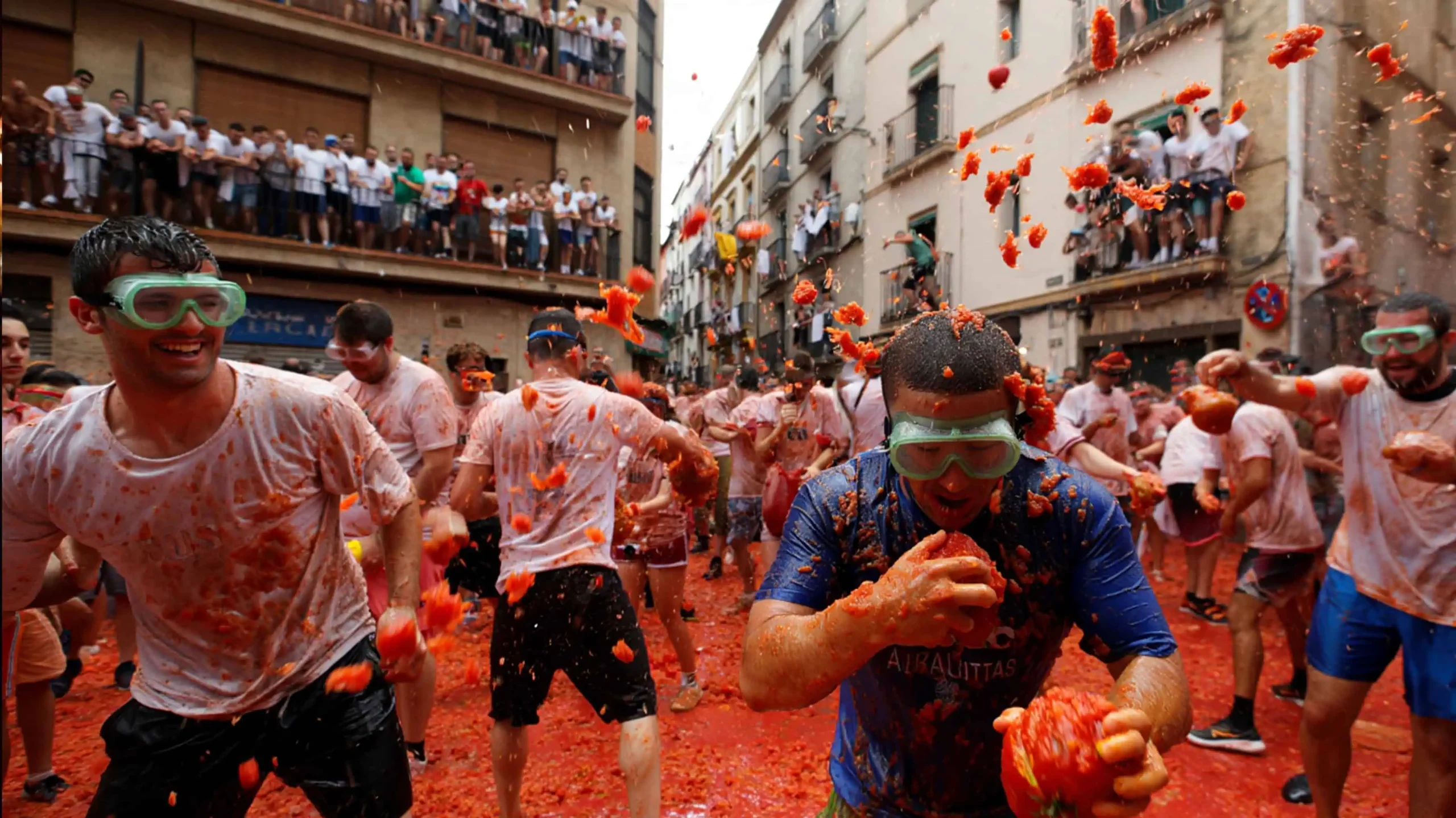 Image of Tomato Fight 