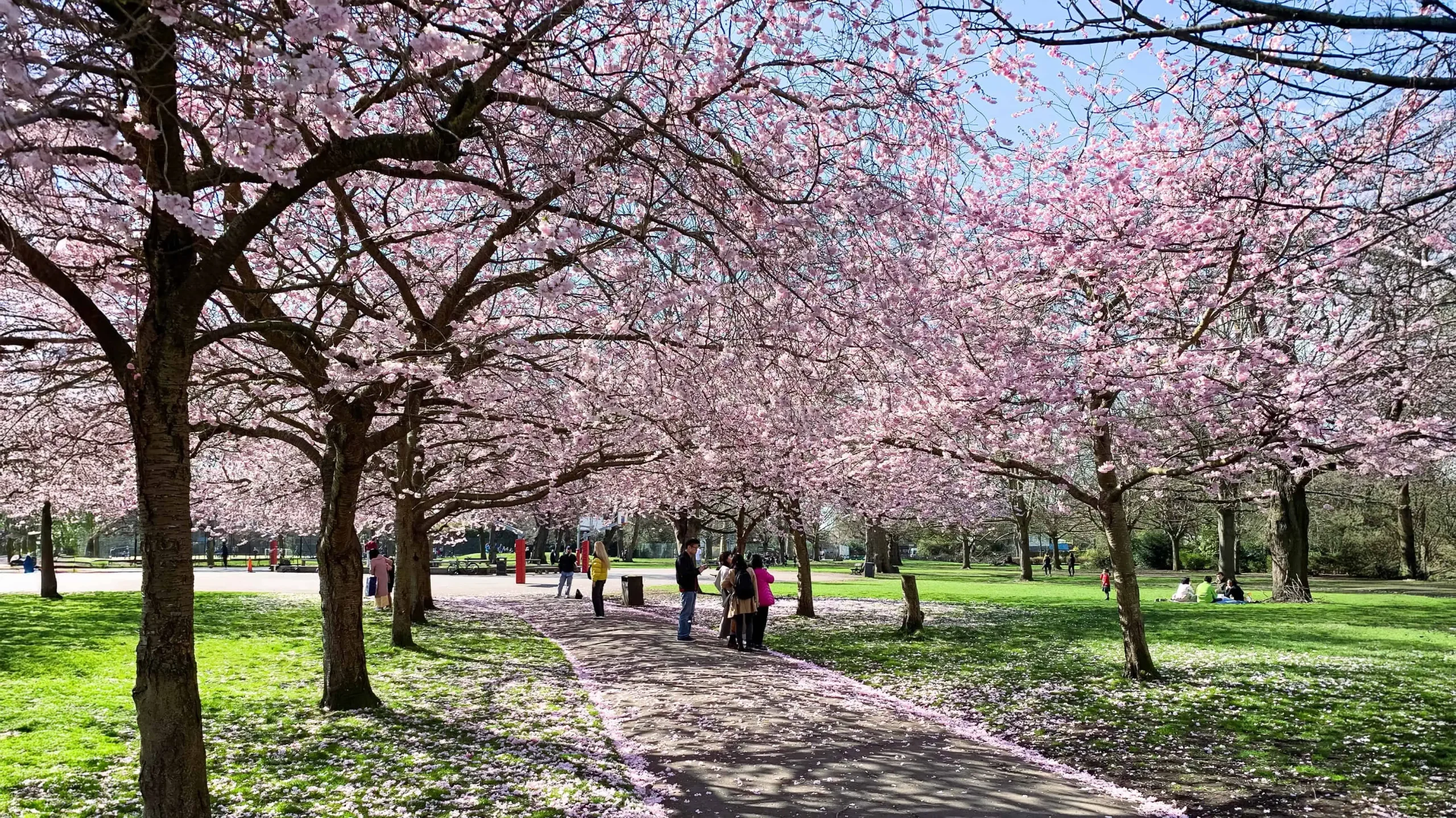 Ueno Park, Shinjuku Gyoen