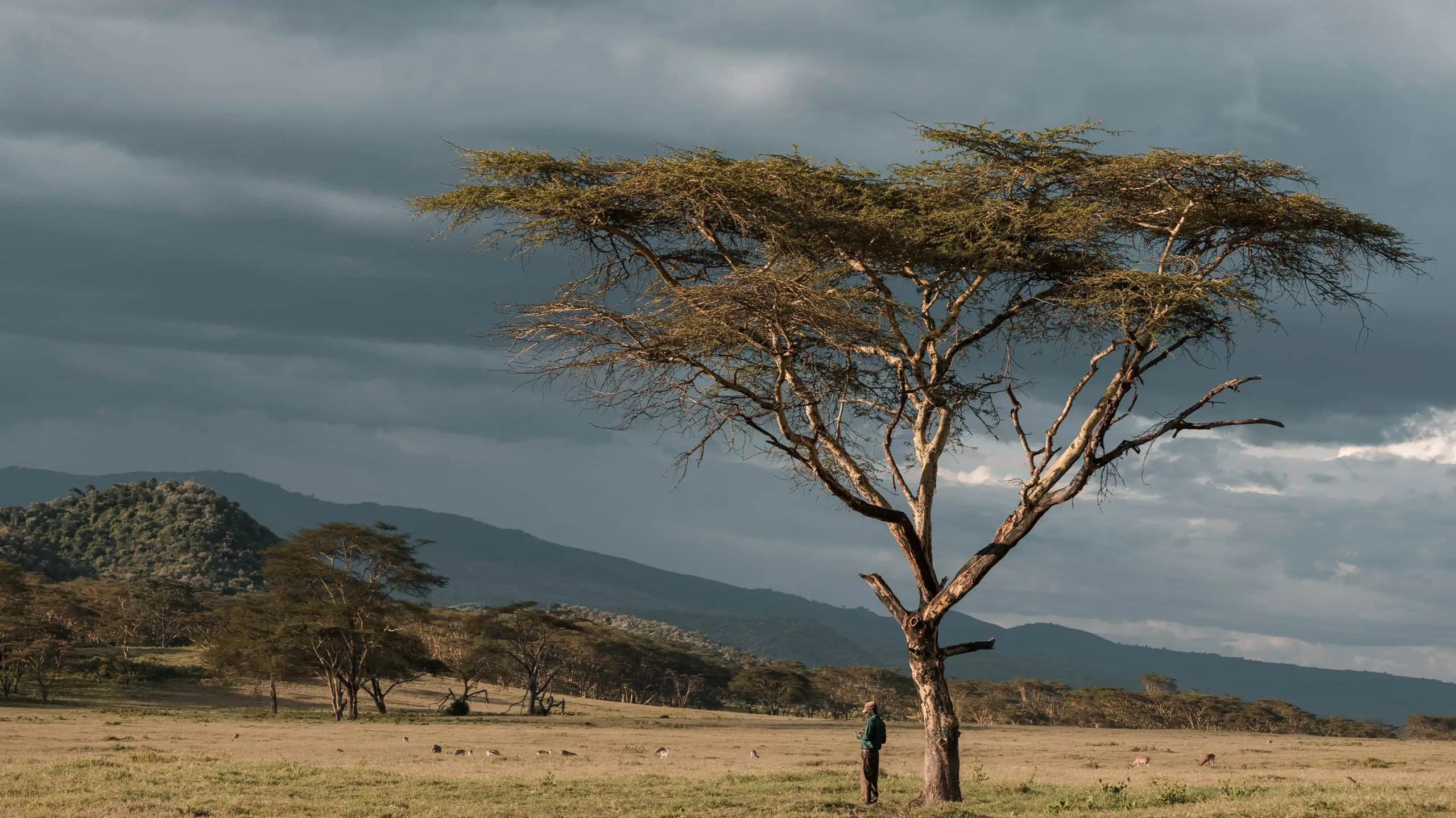 How to Apply East African Tourist Visa (EATV Visa)
