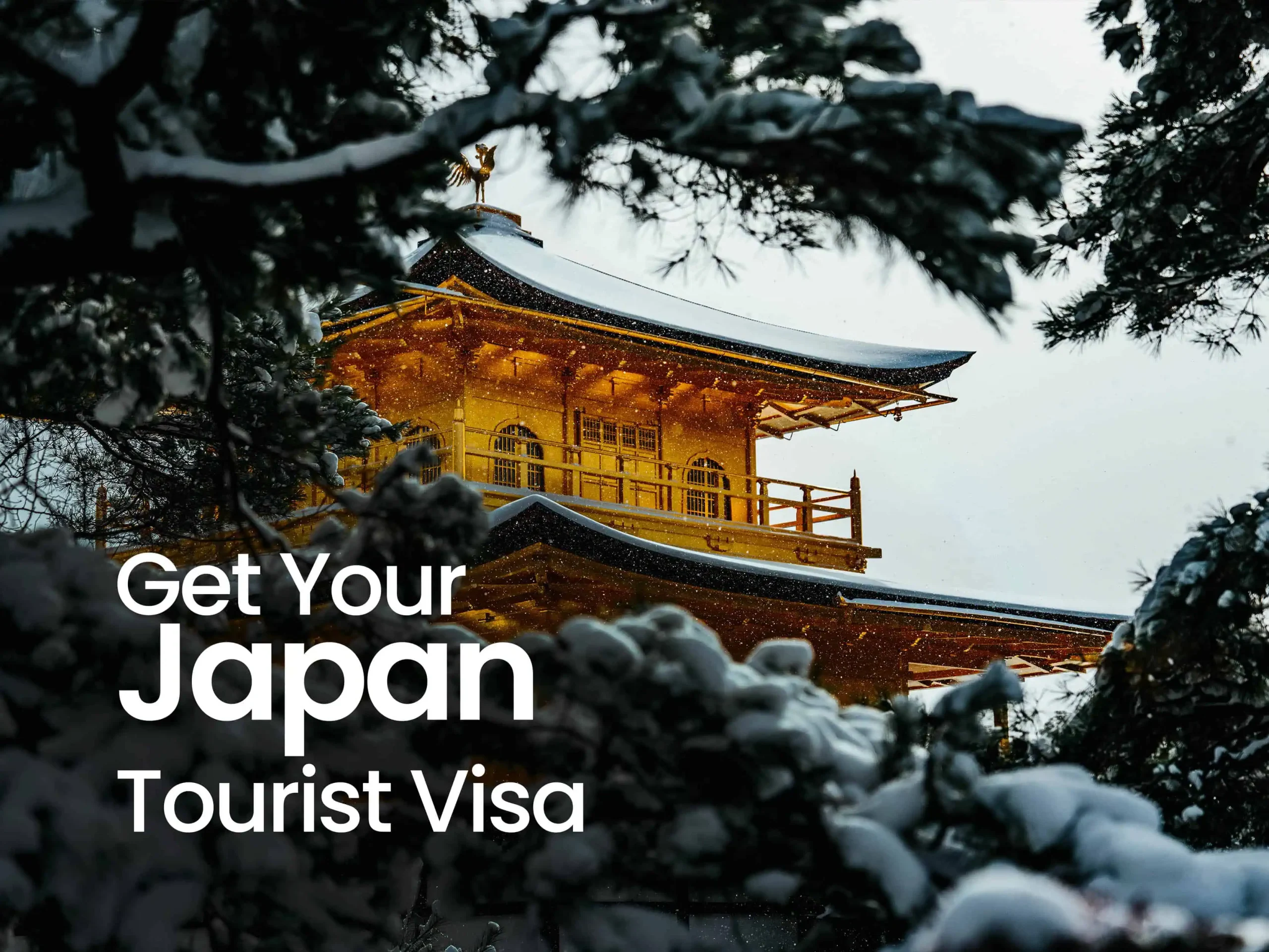 japan banner scaled 1