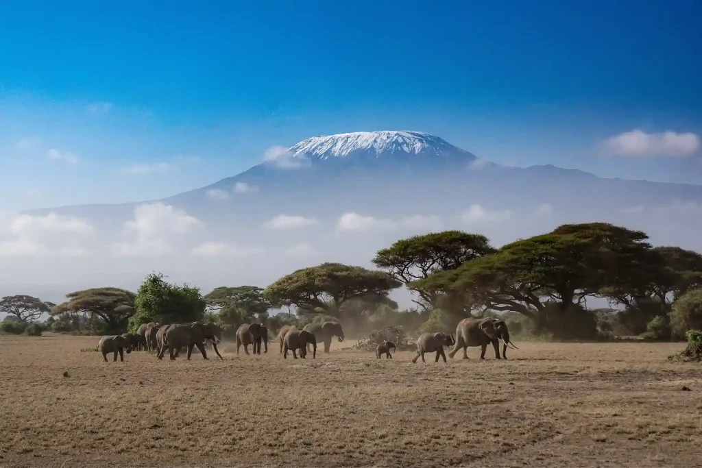 Kenya e-Visa from Dubai