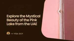Pink Lake from the UAE Pink Lake from the UAE