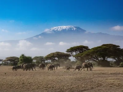 kenya visa Kenya e-Visa from Dubai