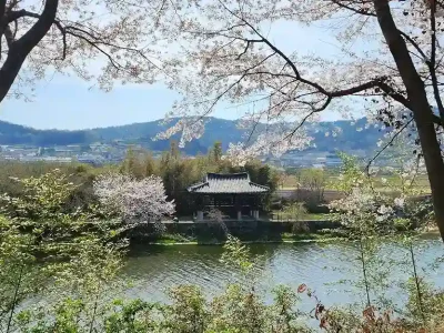 south-korea South Korea